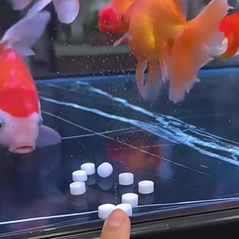 Water Purification Tablet - Comprimidos de purificação de água de