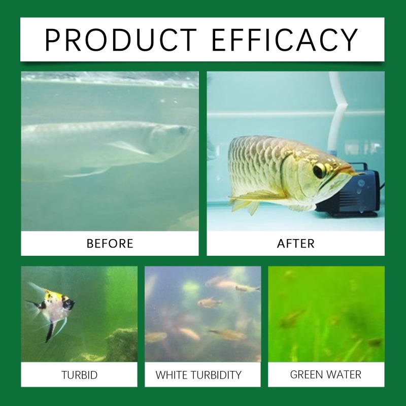 Tabletes Purificadores de Água - Water Purification Tablet avaliação e preço