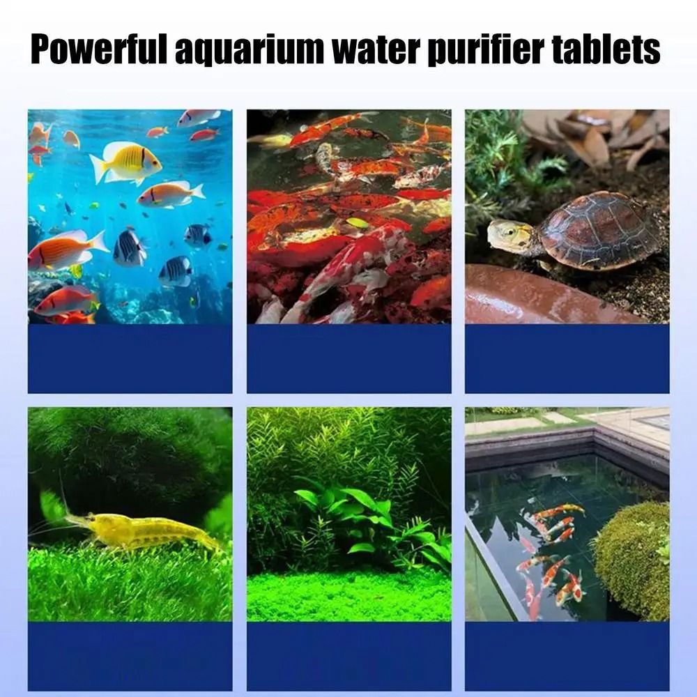 Tabletes Poderosos de Purifica - Water Purification Tablet avaliação e preço